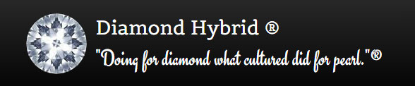 diamond hybrid logo